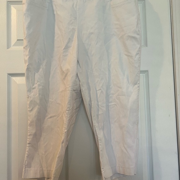 Kim Rogers Plus Size Millennium Capri Pants - Picture 2 of 4